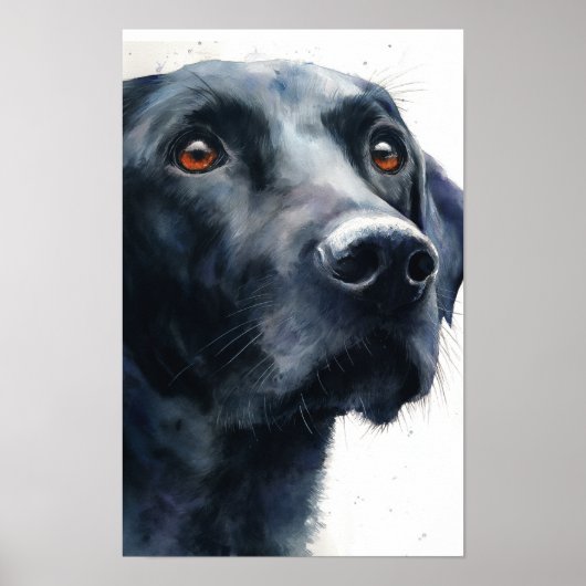Schwarz Labrador Retriever Aquarell Poster (Vorne)