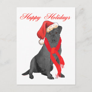 Schwarz Labrador Retriever Weihnachten