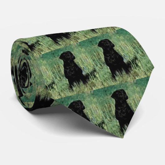 Schwarz-Labrador-Sitzen, Krawatte (Gerollt)