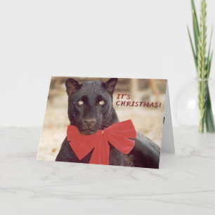 Schwarz-Leopard-Feiertagsbogen Feiertagskarte