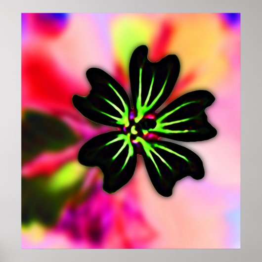 Schwarz-Linse-Grün-Blume auf mehrfarbiger Rückseit Poster (Vorne)