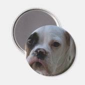 Schwarz-Mit Augen-Boxer-Hund-Runde-Magnet Magnet (Vorderseite/Rückseite)