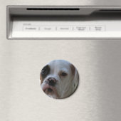 Schwarz-Mit Augen-Boxer-Hund-Runde-Magnet Magnet (In Situ (Geschirrspüler))