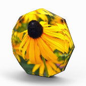 Schwarz-Mit Augen Susan-Akryllischer Foto-Block Fotoblock (Rechts)