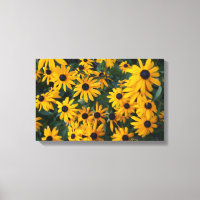 Schwarz-mit Augen Susan-Blume-Leinwand