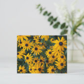 Schwarz-mit Augen Susan-Blume Postkarte (Stehend Vorderseite)