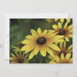 Schwarz-mit Augen Susan - Flachgrüßkarte Karte