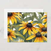 Schwarz-Mit Augen Susan Floral Postkarte (Vorne/Hinten)