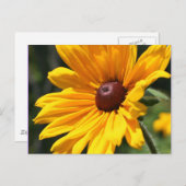 Schwarz Mit Augen Susan Flower Fotokarte Postkarte (Vorne/Hinten)