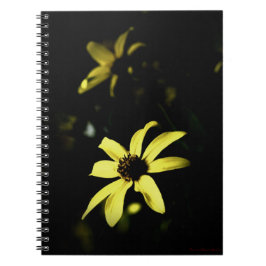Schwarz-Mit Augen Susan Flower Notebook Journal Notizblock