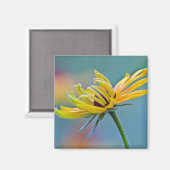 Schwarz-mit Augen Susan Magnet (Vorderseite/Rückseite)