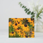 Schwarz-mit Augen Susan Maryland Staat Blume Postkarte (Stehend Vorderseite)