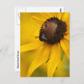 Schwarz-Mit Augen Susan mit Teardrop Postkarte (Vorne/Hinten)