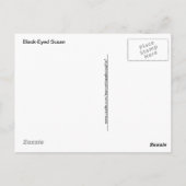 Schwarz-Mit Augen Susan mit Teardrop Postkarte (Rückseite)