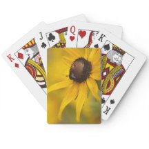 Schwarz-Mit Augen Susan mit Teardrop