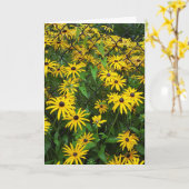 Schwarz-mit Augen-Susan-Molkereien Karte (Gelbe Blume)