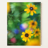 Schwarz-mit Augen Susan Planer (Rückseite)