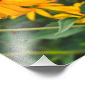 Schwarz-Mit Augen Susan Poster (Ecke)