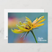 Schwarz-mit Augen Susan Postkarte (Vorne/Hinten)