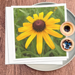 Schwarz-Mit Augen Susan Rudbeckia Blume Fotograf P Serviette