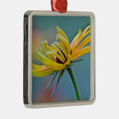 Schwarz-mit Augen Susan Silbernes Ornament (Rechts)