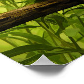 Schwarz-Mit Augen Susan- und Wagenrad-Foto Poster (Ecke)