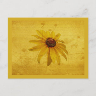 Schwarz-Mit Augen Susan-Wildblume Postkarte