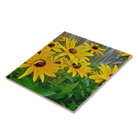 Schwarz-Mit Augen Susan-Wildblumen Fliese (Seite)