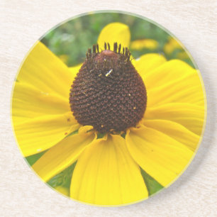Schwarz-Mit Augen Susan-Wildblumen Getränkeuntersetzer
