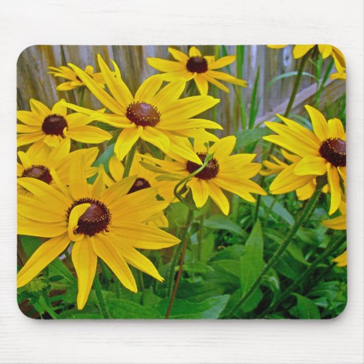 Schwarz-Mit Augen Susan-Wildblumen Mousepad (Vorne)