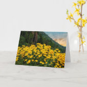 Schwarz-mit Augen Susans in den Bergen Karte (Gelbe Blume)