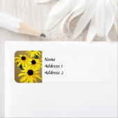 Schwarz-Mit Augen Susans in einer Reihe (Insitu)