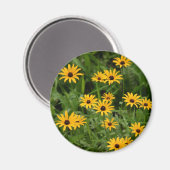 Schwarz-Mit Augen Susans-Magnet Magnet (Vorderseite/Rückseite)