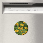 Schwarz-Mit Augen Susans-Magnet Magnet (In Situ (Geschirrspüler))