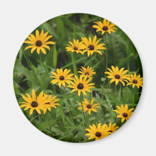 Schwarz-Mit Augen Susans-Magnet Magnet