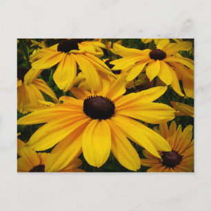 Schwarz-Mit Augen Susans Postkarte