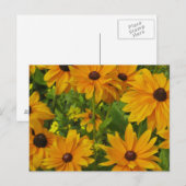Schwarz-mit Augen Susans Postkarte (Vorne/Hinten)