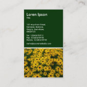 Schwarz-mit Augen Susans (Rudbeckia Hirta) - Dunke Visitenkarte (Rückseite)