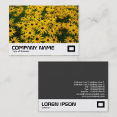 Schwarz-mit Augen Susans (Rudbeckia Hirta) Visitenkarte (Vorne/Hinten)