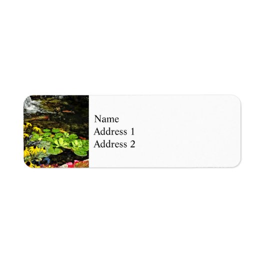 Schwarz-Mit Augen Susans von Koi Pond (Vorne)