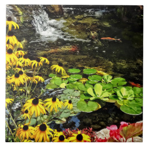 Schwarz-Mit Augen Susans von Koi Pond Fliese