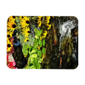 Schwarz-Mit Augen Susans von Koi Pond Magnet (Horizontal)