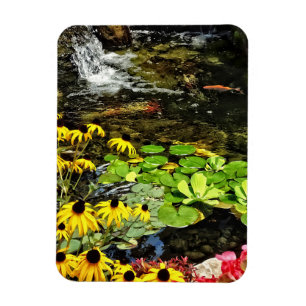Schwarz-Mit Augen Susans von Koi Pond Magnet