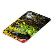 Schwarz-Mit Augen Susans von Koi Pond Magnet (Linke Seite)