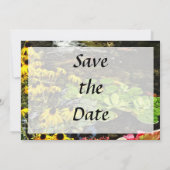 Schwarz-Mit Augen Susans von Koi Pond Save the Dat Date (Rückseite)