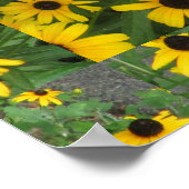 Schwarz Mit Augen Susans Yellow Green Poster (Ecke)