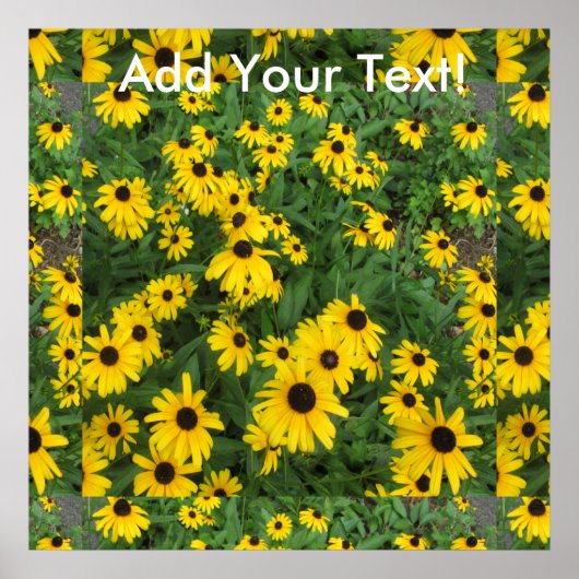 Schwarz Mit Augen Susans Yellow Green Poster (Vorne)
