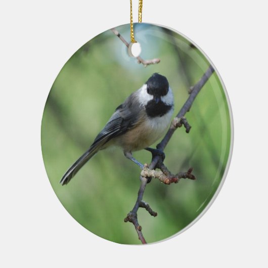 Schwarz-mit einer Kappe bedeckte Keramikornament (Links)