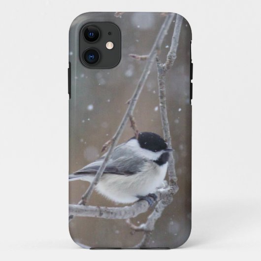 Schwarz-mit einer Kappe bedeckter Chickadee - Case-Mate iPhone Hülle (Rückseite)