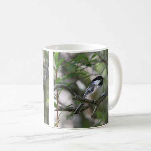 Schwarz-mit einer Kappe bedeckter Chickadee Kaffeetasse (VorderseiteRechts)